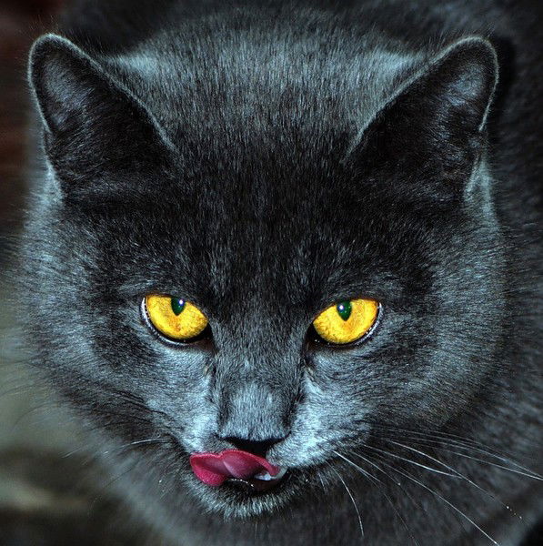 Любовь Торопова