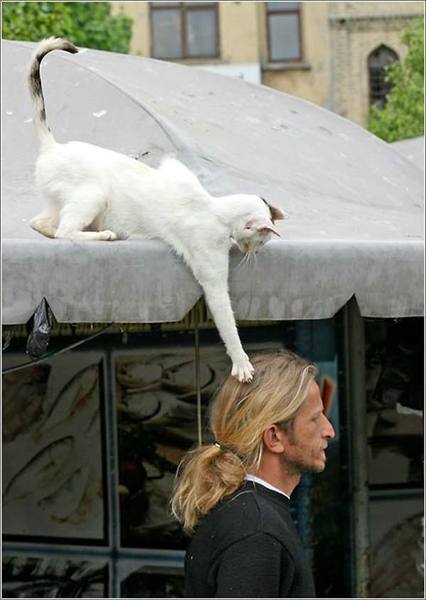 Зинфира Назырова