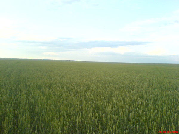 Болат Нурпеисов