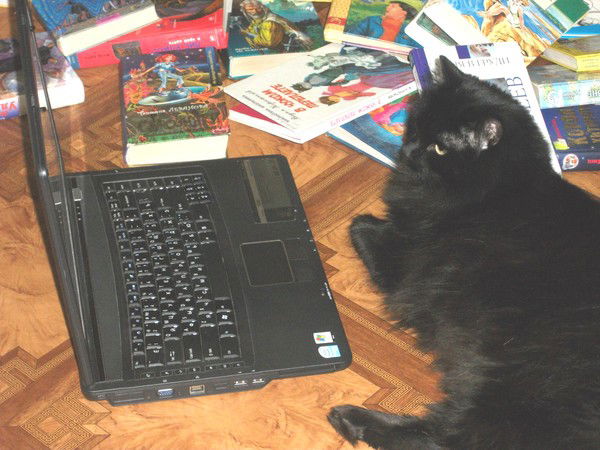 Библиотека Первая Детская