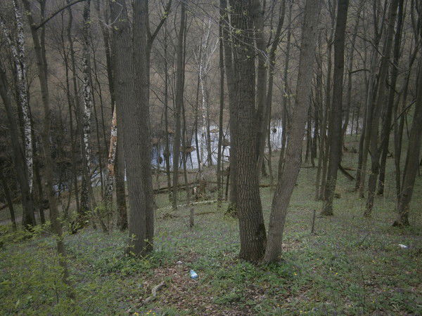 Андрей Андрей