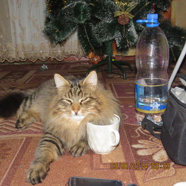 Юлия Карабаза