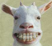 Игорь Шумаков