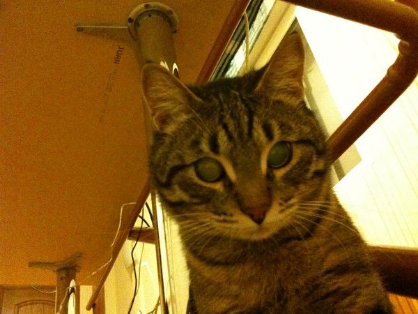 Зарина Мукашева