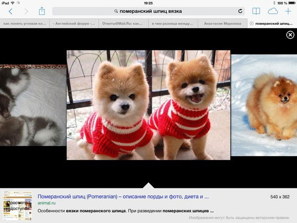 Анжела Фридман