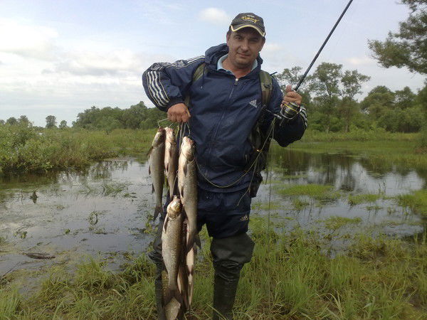 Анатолий Мозырчук