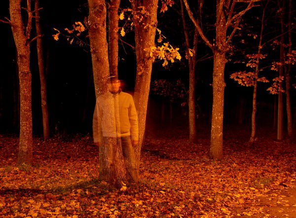 Владимир Вылегжанин