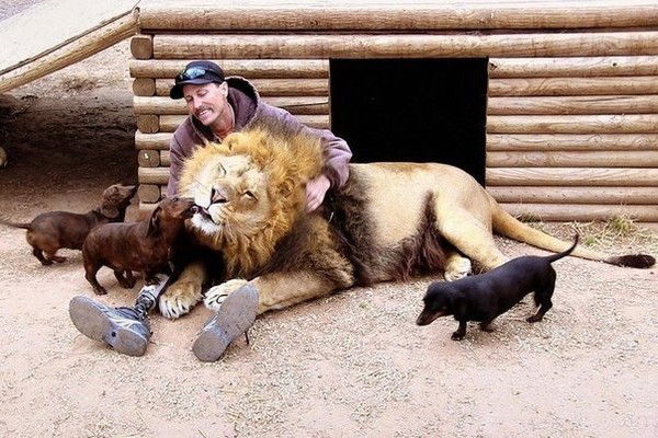 Александр Яворский