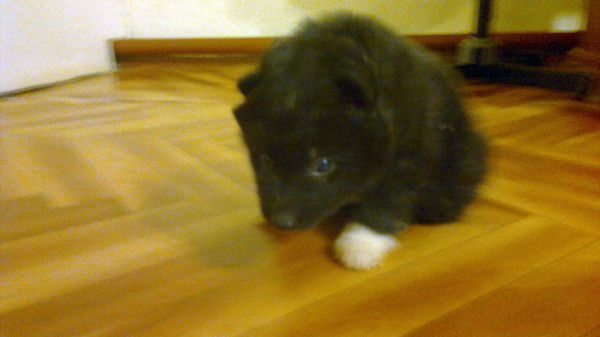 Ростислав Ларионов