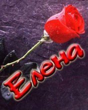 Елена *******