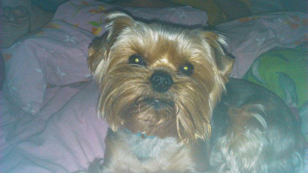 Юлия Давыденкова