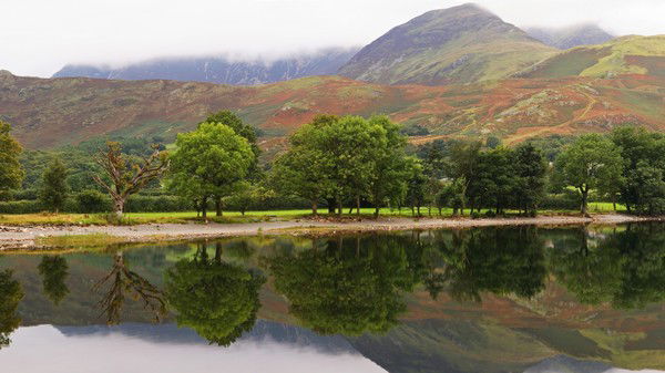 Алексей Яковлев