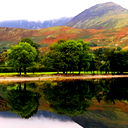 Алексей Яковлев