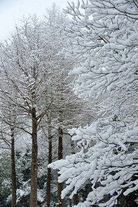 Марсель Нурбай