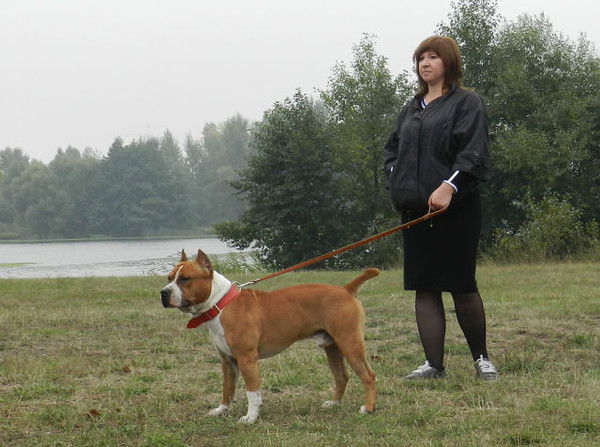 Ольга Сурина