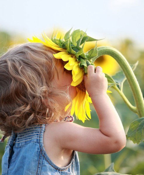 Солнце*) Усть-Катава))=)