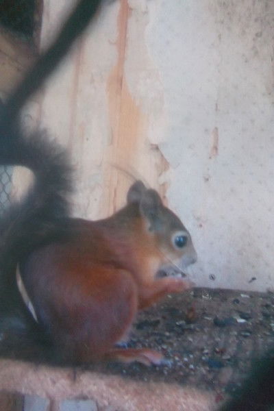 Валентина Олег