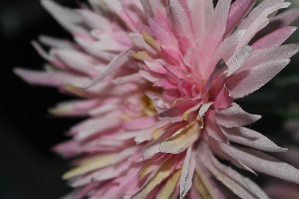 Наргиз Абзалова