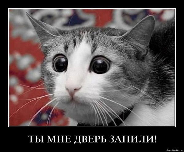 Александр Александр