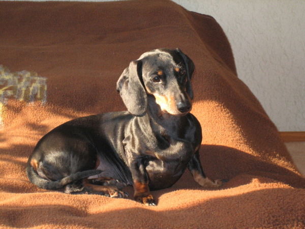 Ирина Акишина