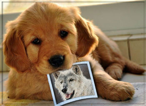 Виктор И Елена Абрамченко