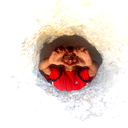 Владимир Аракелян