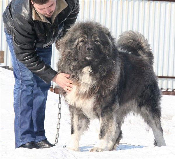 Яна Горбачева