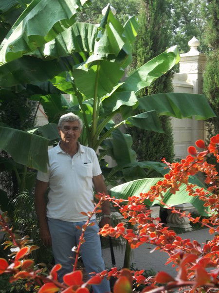 Анатолий Зорин