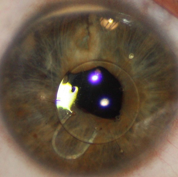 Олег Пинчук