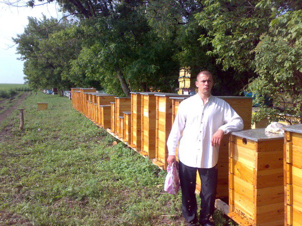 Александр Ульянич