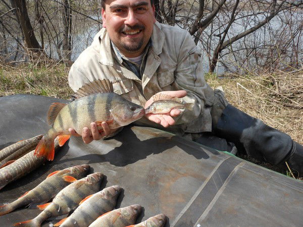 Владислав Поклонов