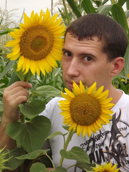 Андрей Соколов