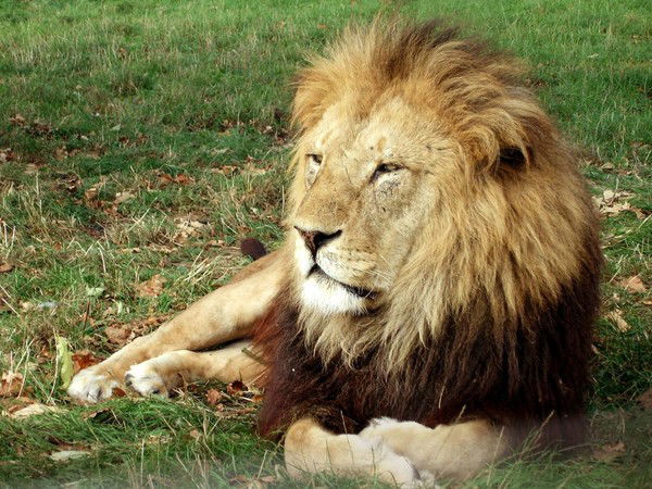 Татьяна Беликова