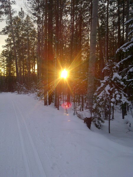 Антоха Не Скажу