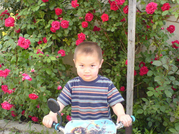 Жансауле Рахманова