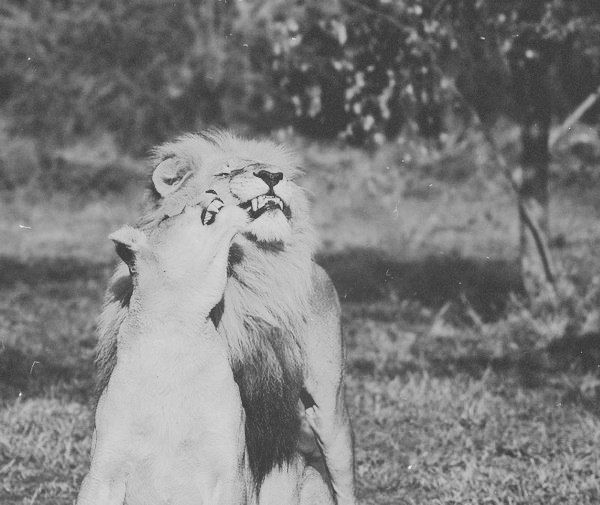 Мария Горбенко