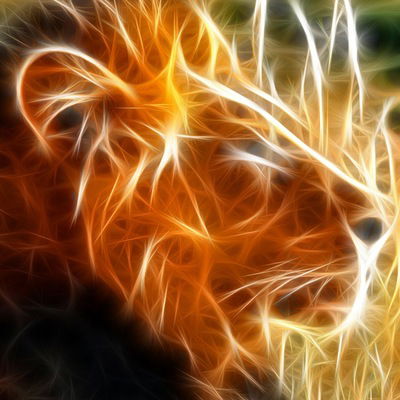 Дмитрий Цифровой