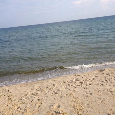 ************* ******