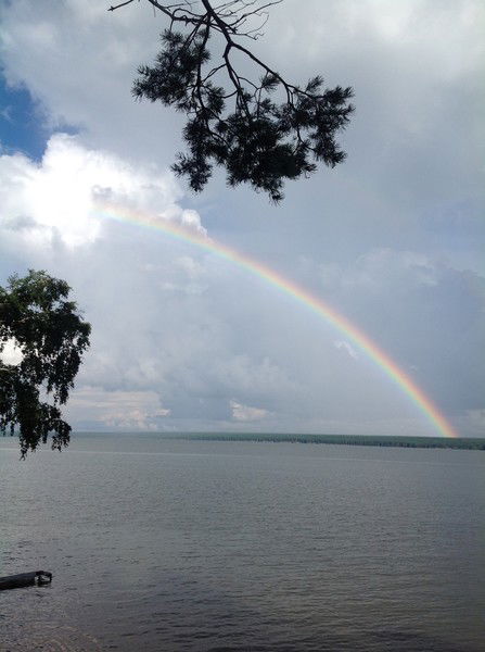 Константин Зеленкин
