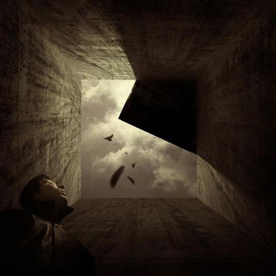 Дамир Шамсутдинов