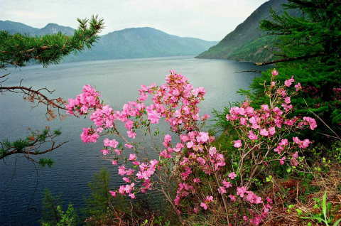 Наталья Баканова