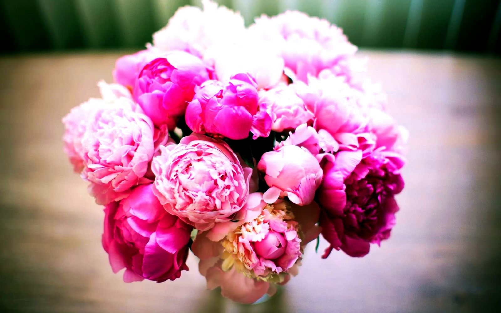 Александра Аксёненко