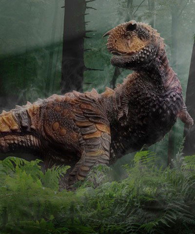 Макс Данилов