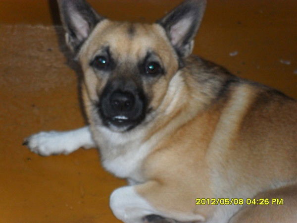 Сергей Караваев