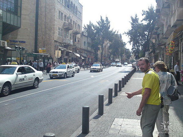 Д. Владимир