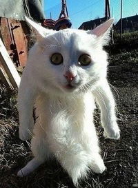 Александр Климов