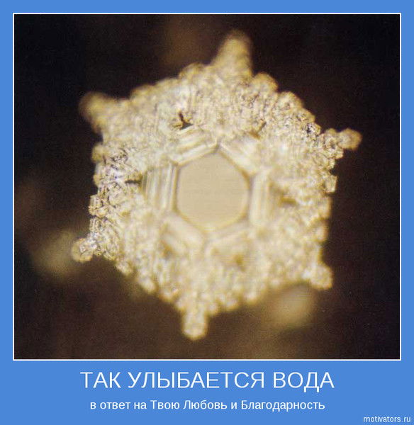 Светлана Svetlana