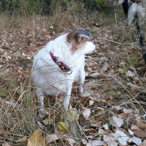 Анастасия Хомочкина