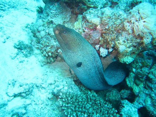 Наталия Мама