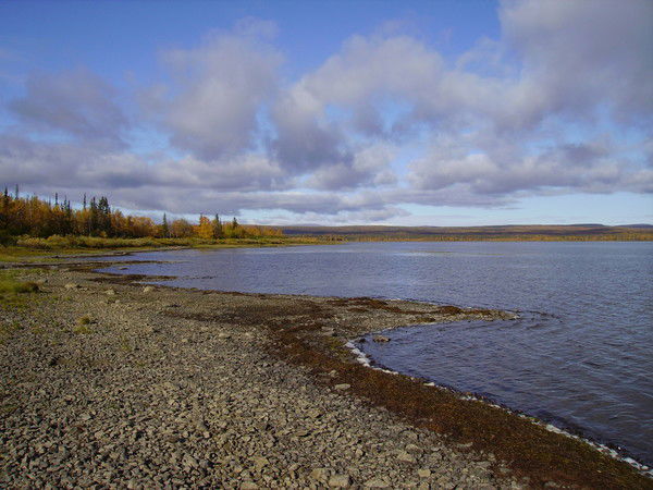 Андрей Турубанов